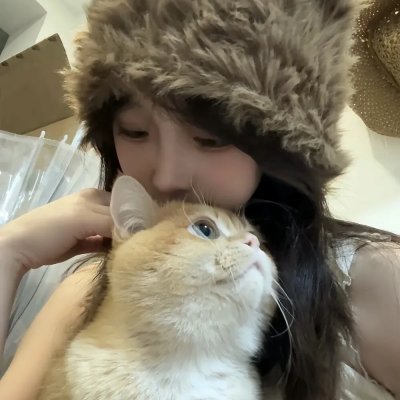 鸡同鸭讲海报